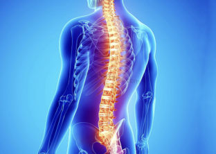 �˹�����ɸ�鼹������ ׼ȷ�ʿɴ�ר��ˮƽ