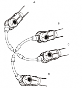 ABB���������ִ�й��߿��壿