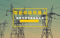 ���ܵ����豸�������� Ѳ�������ӭ����