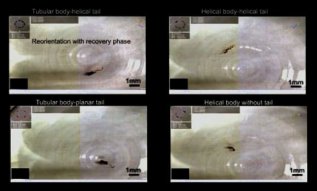 ��ʿ�о���Ա�����������׻����� ������������ҩ��