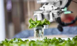 ����һ�ҳ�����˾�����辶��ͨ����������ֳ�߲˻�óɹ�