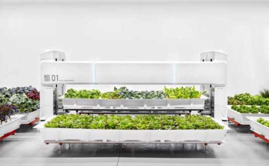 ����һ�ҳ�����˾�����辶��ͨ����������ֳ�߲˻�óɹ�