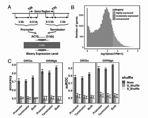 �˹����������֡�����������