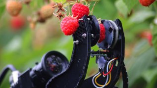 �����Ӳ�ժ����������״�Ұ�����