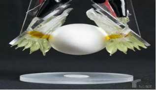 Science��־�������ʮ������� ��ʿ�ٶ����ϰ�