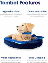 ���������˱������Ľ����Ļ�����