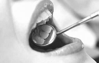 �������������໤�ݸ�����