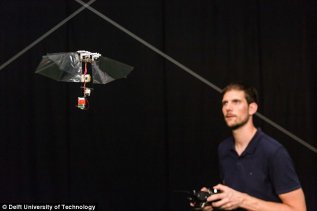 ���ͷ�������������ƹ�Ӭ����̴�����ڻ��£�