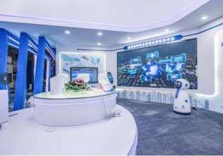 ר���������ܶ��³�Ҷ��������������߾����� �����ǻ۳��н���