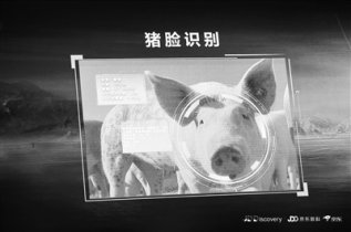 ������Ѳ�ߣ�����ʶ�� ��������Ժʿ��⡰����������ô��