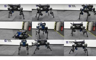 �������������������ϵͳ�˷������ս������ˤ����������������