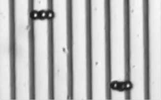 ��΢�ͼ�ǿ����ǿС�ͻ����˵��˶�