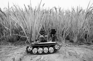 ũҵ�����ˣ�ũ�¼��ð���