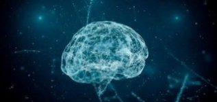 DHL�����˹���������������ķ�չǱ��