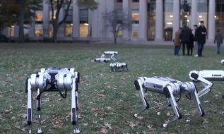 ������������˾�Ȼ���������ˣ�δ���п����֣������𾪣�