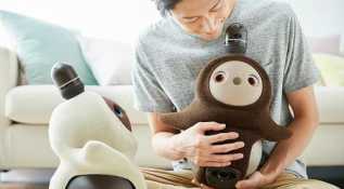 Groove X����PCR�״ﴫ�������罻������Lovot����