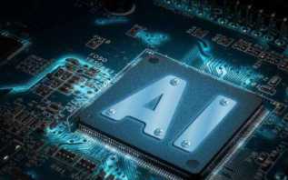 оƬ�����ӣ��й����ܻ������ƾֵ����ģ�