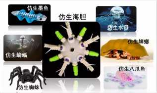 �������˸����������ˣ����ѣ�û��ʳ����