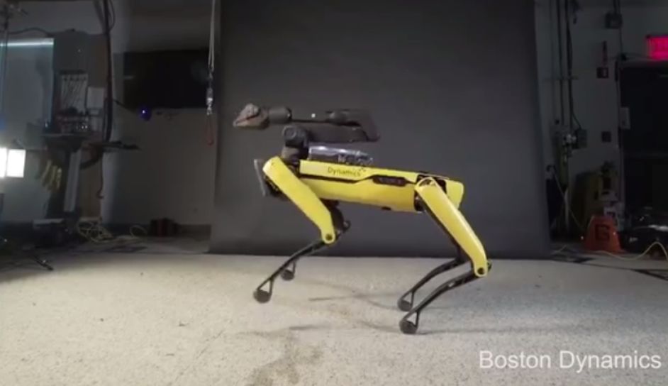 ���Ѿ���ֻ����Ļ������ˣ���ѧ���Լ�������