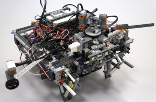 16�����괴���˸������ˡ�����ʹɭ����ľ���ֽ���