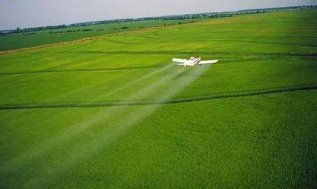 ��2024��ȫ��ũҵ�г����˹����ܽ��ﵽ20.157����Ԫ