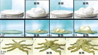 ���Կɱ������ܻ����ˣ���Ϸ��