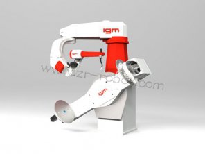 IGM RSX 501�����˱������ĵ�ѡ��