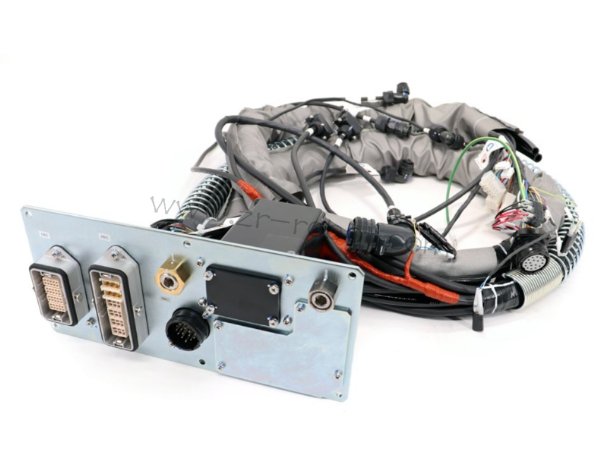 ���������˱�������ά��