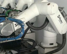 ʷ�ձȶ��������ϵ��޷�Ӧ����ά��